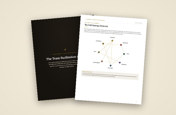 The Team Facilitation Guide: the cover and the synergy network page