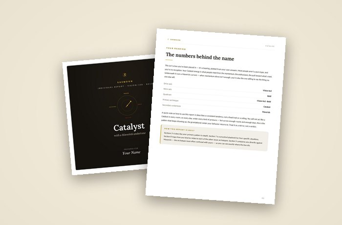 A Shemoon individual report: the cover and an inside page