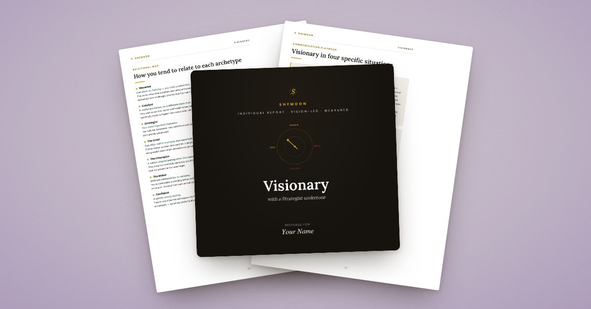 The Shemoon Visionary report: cover and inside pages
